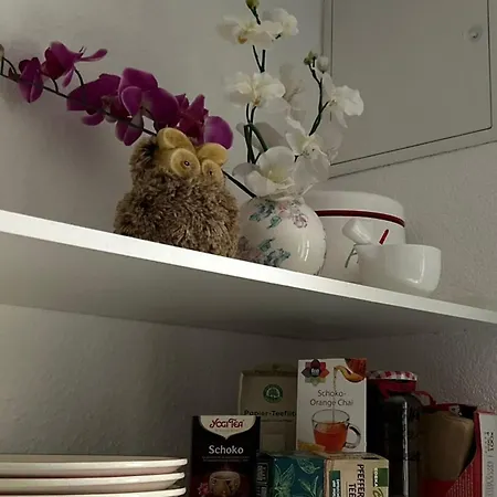 Musche Apartment