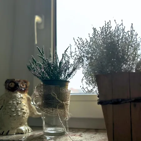 Apartment Musche Bad Frankenhausen