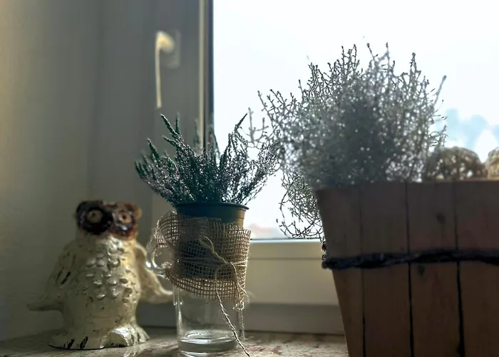 Apartman Musche Bad Frankenhausen