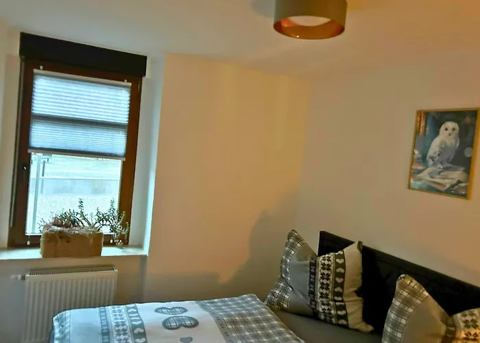 Musche * Bad Frankenhausen